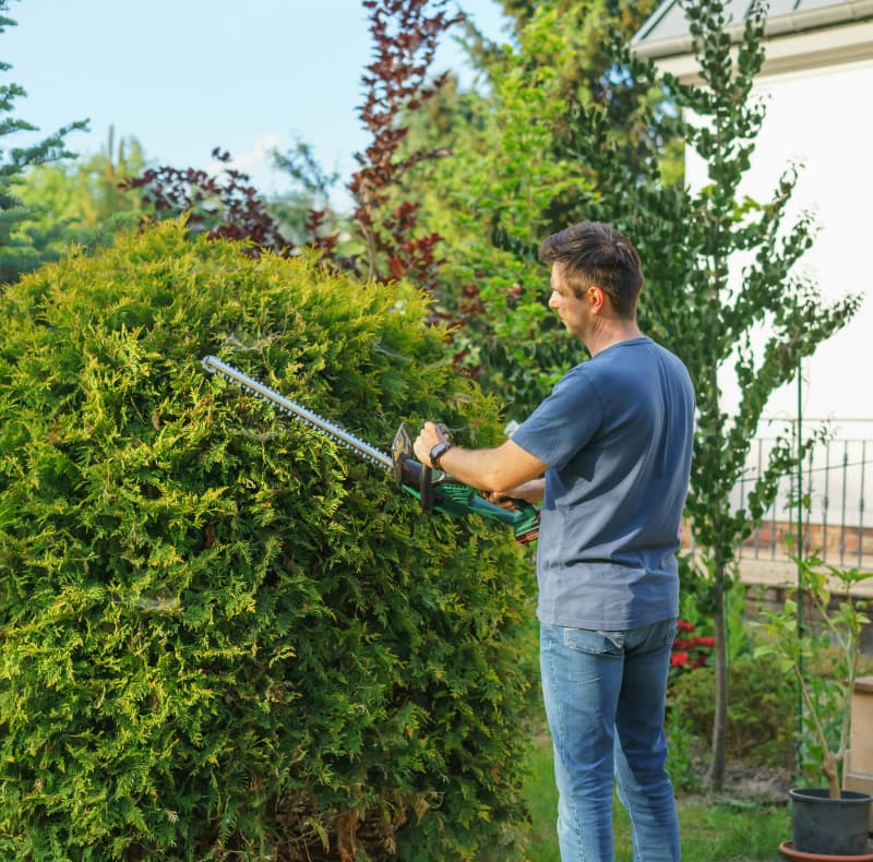 Support worker helping with daily living activities
